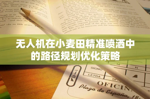 无人机在小麦田精准喷洒中的路径规划优化策略