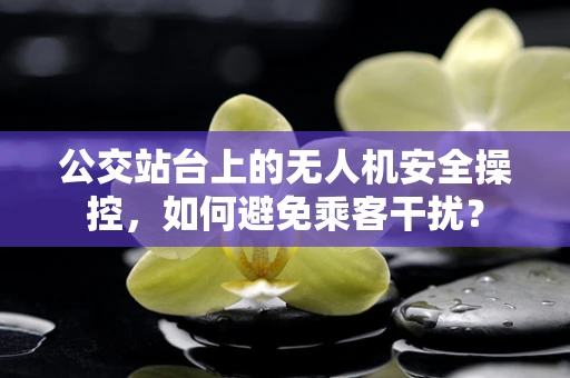 公交站台上的无人机安全操控，如何避免乘客干扰？
