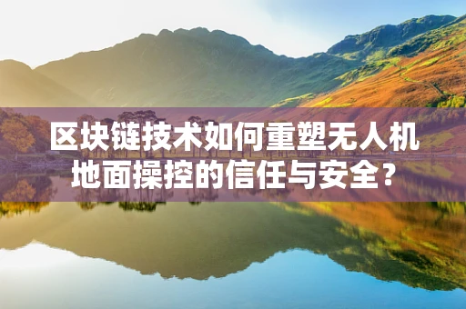 区块链技术如何重塑无人机地面操控的信任与安全？
