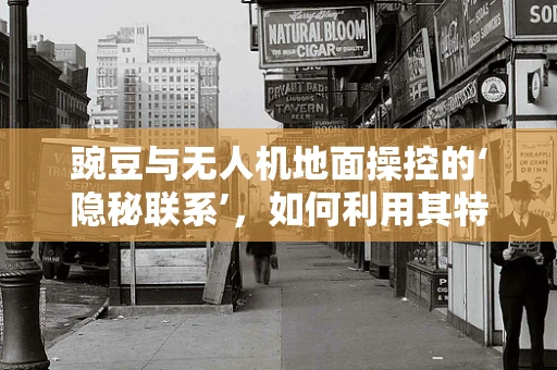 豌豆与无人机地面操控的‘隐秘联系’，如何利用其特性优化飞行控制？
