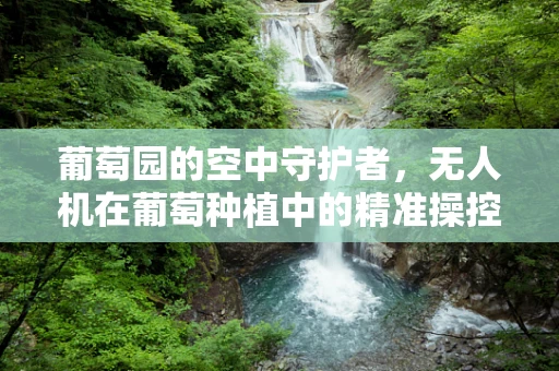 葡萄园的空中守护者，无人机在葡萄种植中的精准操控挑战