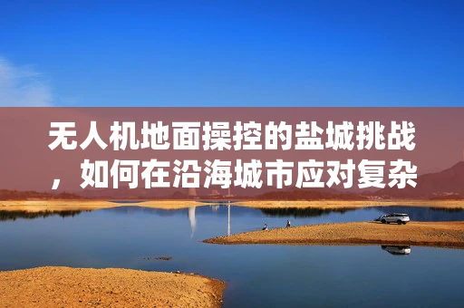 无人机地面操控的盐城挑战，如何在沿海城市应对复杂电磁环境？