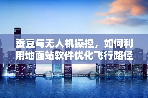 蚕豆与无人机操控，如何利用地面站软件优化飞行路径？
