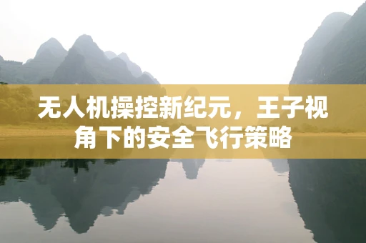 无人机操控新纪元，王子视角下的安全飞行策略