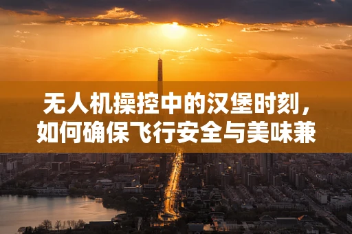 无人机操控中的汉堡时刻，如何确保飞行安全与美味兼得？