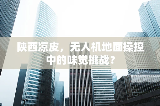 陕西凉皮，无人机地面操控中的味觉挑战？