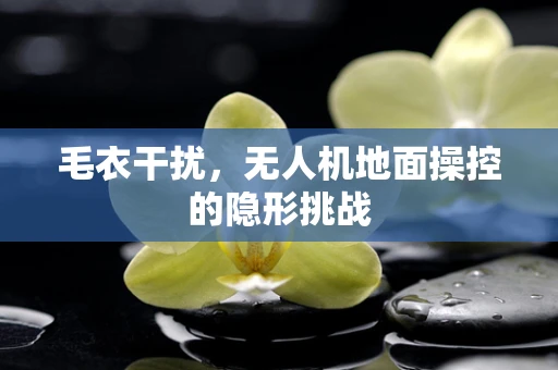 毛衣干扰，无人机地面操控的隐形挑战