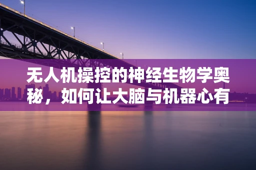 无人机操控的神经生物学奥秘，如何让大脑与机器心有灵犀？