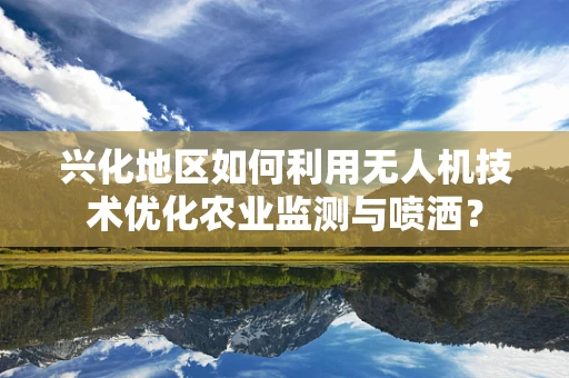 兴化地区如何利用无人机技术优化农业监测与喷洒？