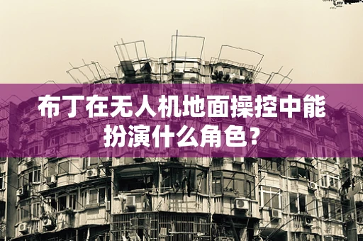 布丁在无人机地面操控中能扮演什么角色？