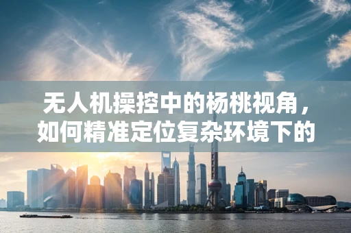 无人机操控中的杨桃视角，如何精准定位复杂环境下的目标？