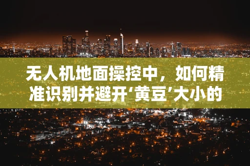无人机地面操控中，如何精准识别并避开‘黄豆’大小的障碍物？