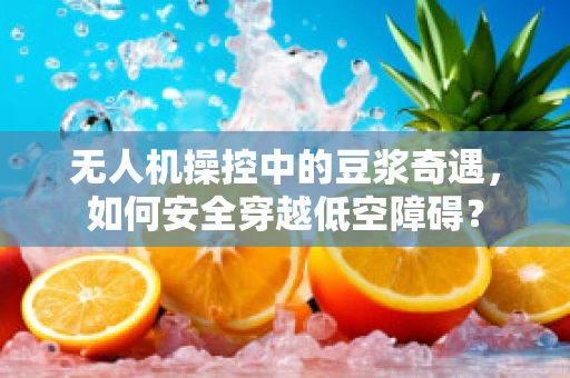 无人机操控中的豆浆奇遇，如何安全穿越低空障碍？