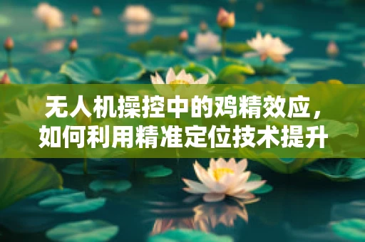 无人机操控中的鸡精效应，如何利用精准定位技术提升飞行稳定性？