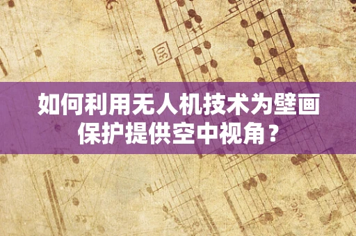 如何利用无人机技术为壁画保护提供空中视角？