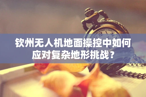 钦州无人机地面操控中如何应对复杂地形挑战？