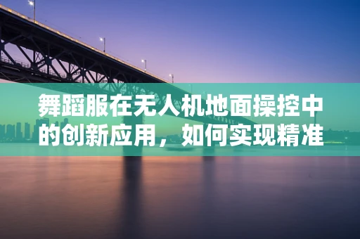 舞蹈服在无人机地面操控中的创新应用，如何实现精准操控与视觉盛宴的完美融合？