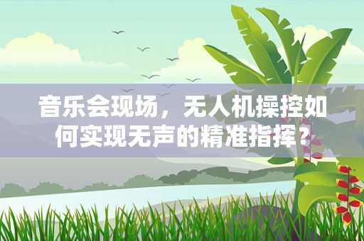 音乐会现场，无人机操控如何实现无声的精准指挥？