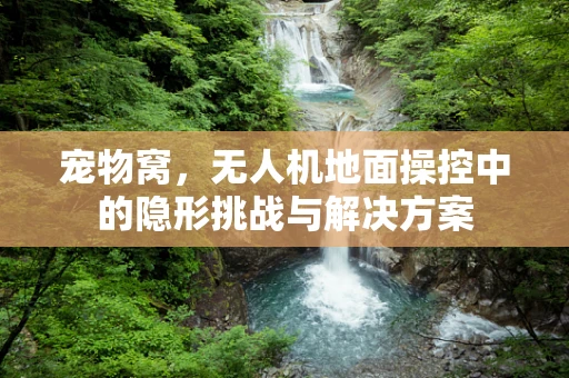 宠物窝，无人机地面操控中的隐形挑战与解决方案