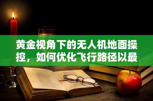 黄金视角下的无人机地面操控，如何优化飞行路径以最大化资源利用？
