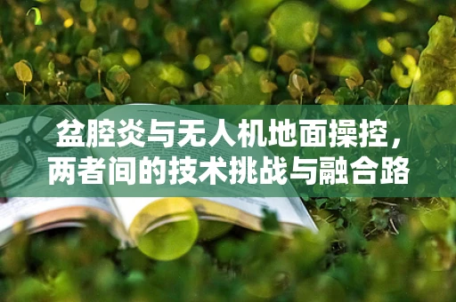 盆腔炎与无人机地面操控，两者间的技术挑战与融合路径