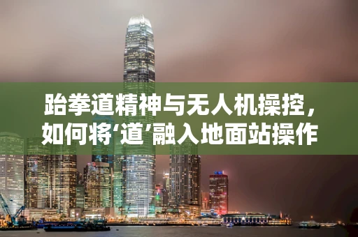 跆拳道精神与无人机操控，如何将‘道’融入地面站操作？