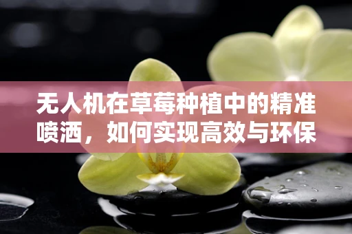 无人机在草莓种植中的精准喷洒，如何实现高效与环保的平衡？