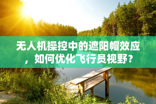 无人机操控中的遮阳帽效应，如何优化飞行员视野？