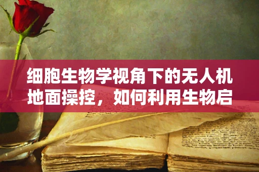 细胞生物学视角下的无人机地面操控，如何利用生物启发的策略优化导航与控制？