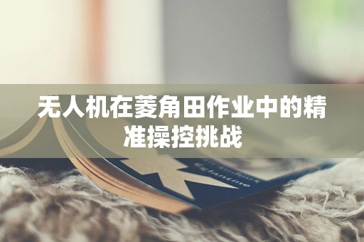 无人机在菱角田作业中的精准操控挑战