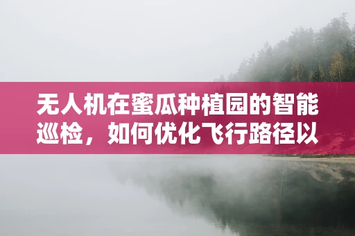 无人机在蜜瓜种植园的智能巡检，如何优化飞行路径以提升效率？