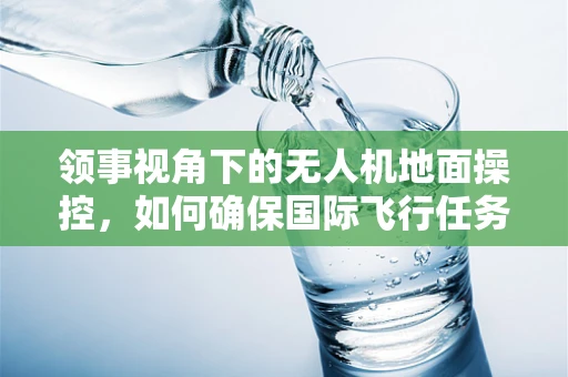 领事视角下的无人机地面操控，如何确保国际飞行任务中的安全与合规？