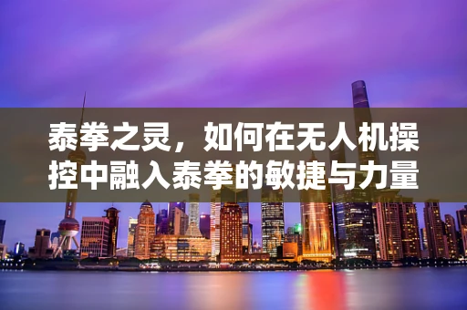 泰拳之灵，如何在无人机操控中融入泰拳的敏捷与力量？
