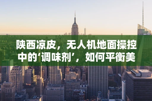 陕西凉皮，无人机地面操控中的‘调味剂’，如何平衡美食诱惑与任务执行？