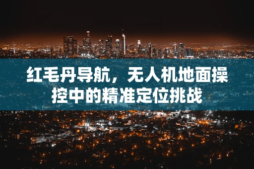 红毛丹导航，无人机地面操控中的精准定位挑战