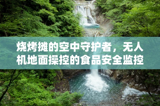 烧烤摊的空中守护者，无人机地面操控的食品安全监控挑战
