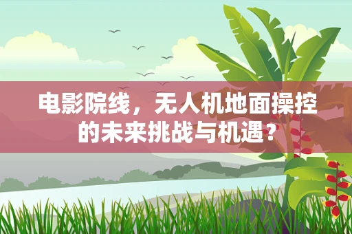 电影院线，无人机地面操控的未来挑战与机遇？