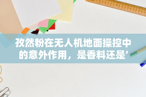 孜然粉在无人机地面操控中的意外作用，是香料还是‘秘密武器’？