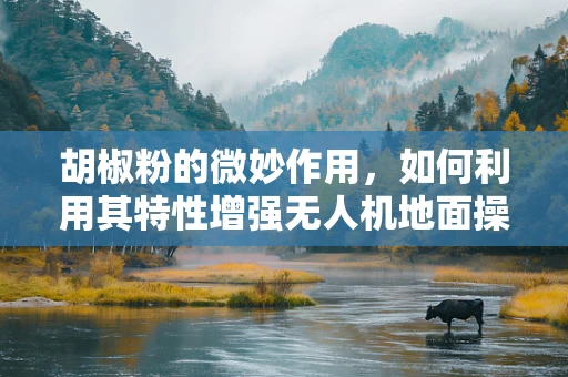 胡椒粉的微妙作用，如何利用其特性增强无人机地面操控的精准度？