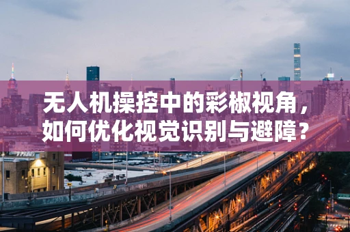 无人机操控中的彩椒视角，如何优化视觉识别与避障？