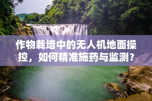 作物栽培中的无人机地面操控，如何精准施药与监测？