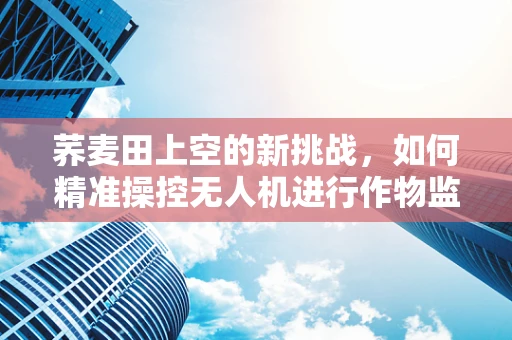 荞麦田上空的新挑战，如何精准操控无人机进行作物监测？