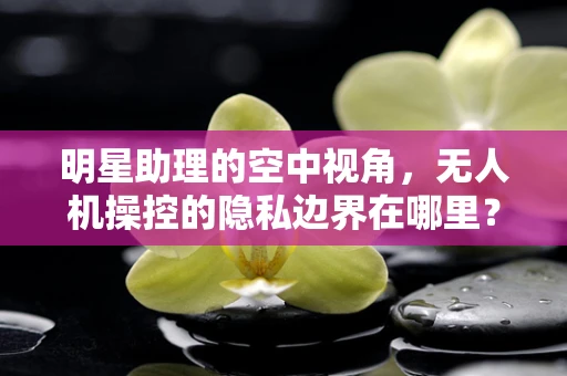 明星助理的空中视角，无人机操控的隐私边界在哪里？