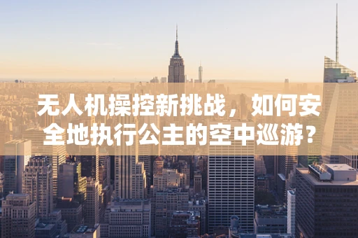无人机操控新挑战，如何安全地执行公主的空中巡游？
