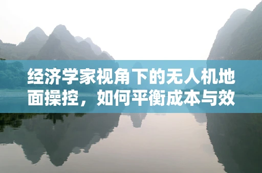 经济学家视角下的无人机地面操控，如何平衡成本与效率？