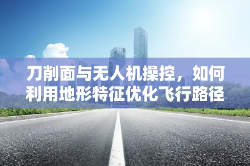 刀削面与无人机操控，如何利用地形特征优化飞行路径？