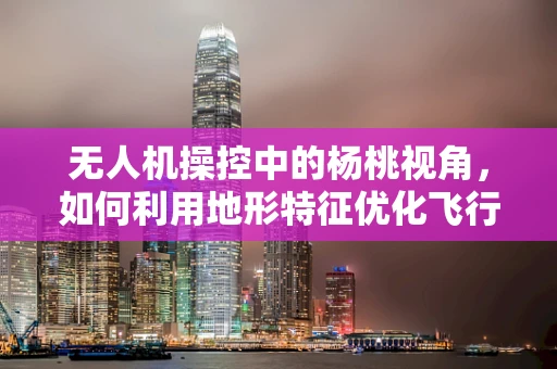 无人机操控中的杨桃视角，如何利用地形特征优化飞行路径？