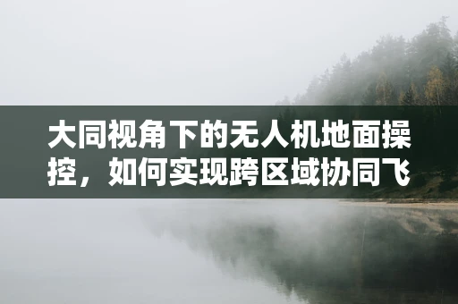 大同视角下的无人机地面操控，如何实现跨区域协同飞行？