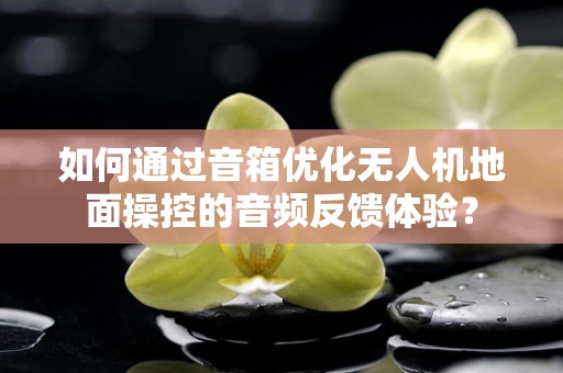 如何通过音箱优化无人机地面操控的音频反馈体验？