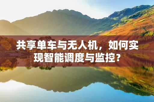 共享单车与无人机，如何实现智能调度与监控？